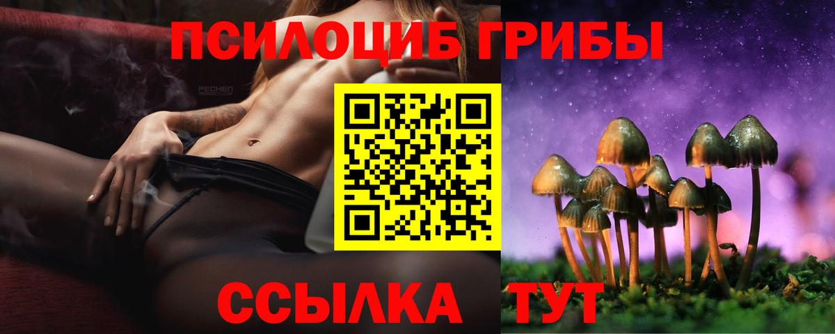 Псилоцибиновые грибы прущие грибы Мирный